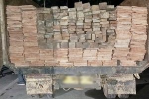 Truk bermuatan ulin dan meranti ilegal ditemukan di kebun sawit