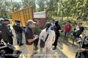 Operasi Gabungan Ungkap Perambahan Hutan Pendidikan UGM di Ngawi
