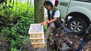 Dari Selat Bali ke Pasar Burung Blambangan